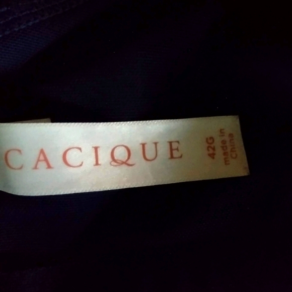 Price firm! Lane Bryant Cacique Max Boost Plunge Bra size 42 G - Picture 8 of 8